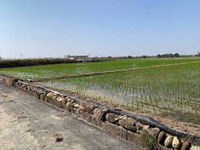 後壁土溝美農地(三),台南市後壁區土溝段