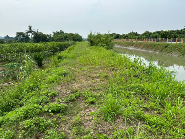 東山區東河一般農業農牧用地,台南市東山區東河段       